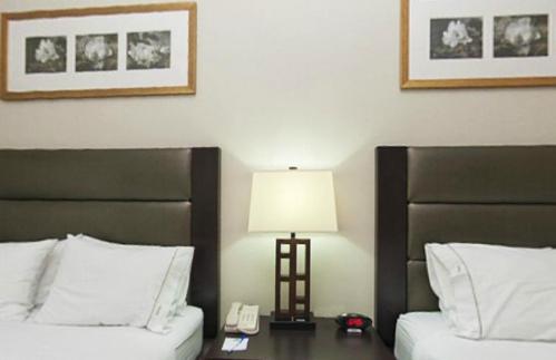 Holiday Inn Express Hotel & Suites Ottawa Airport By Ihg Ruang foto